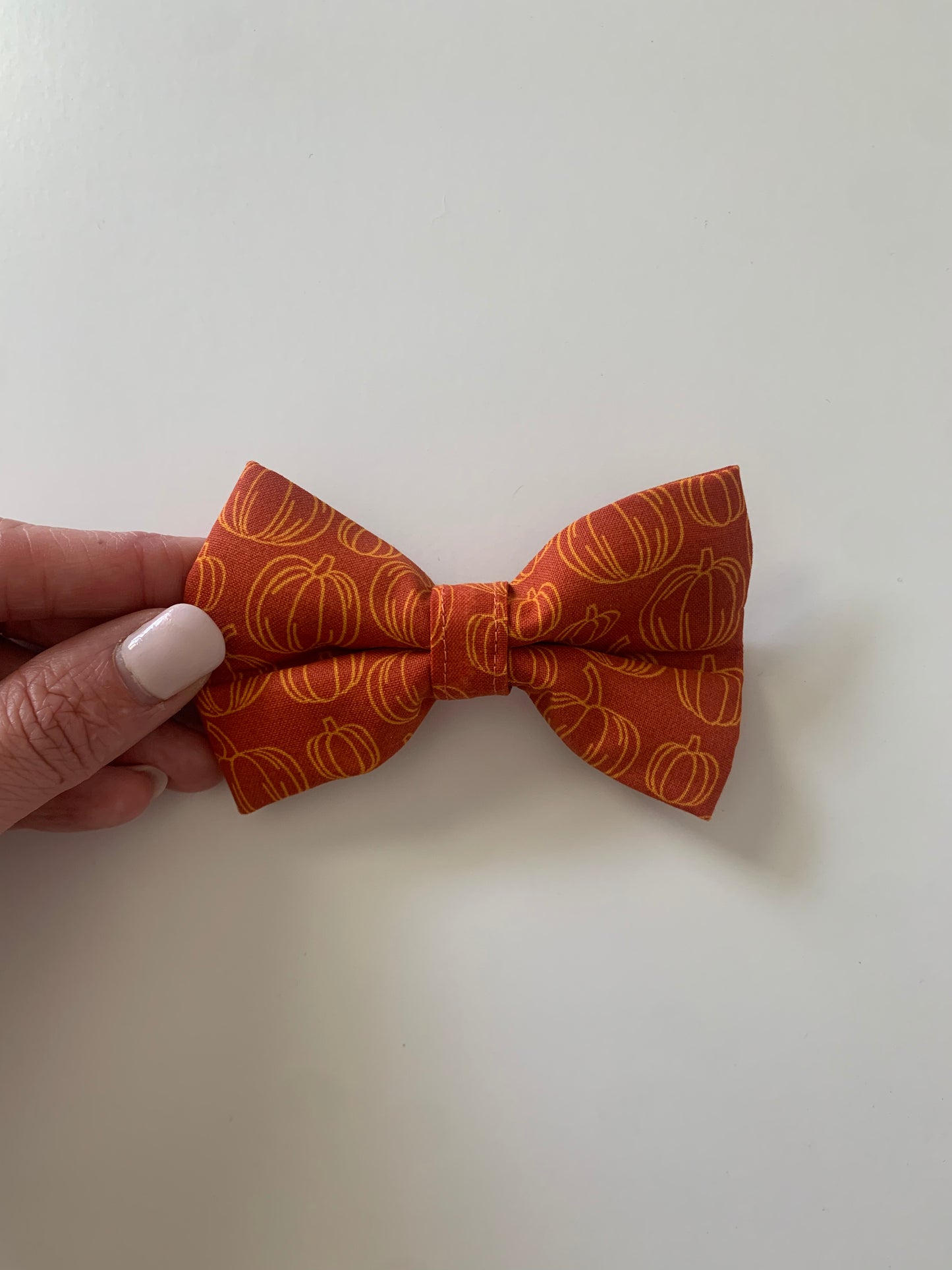 Pumpkin Patch - Pet Bow Tie