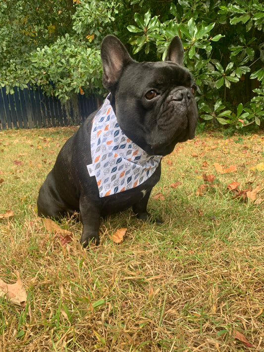 Falling Leaves - Pet Bandana