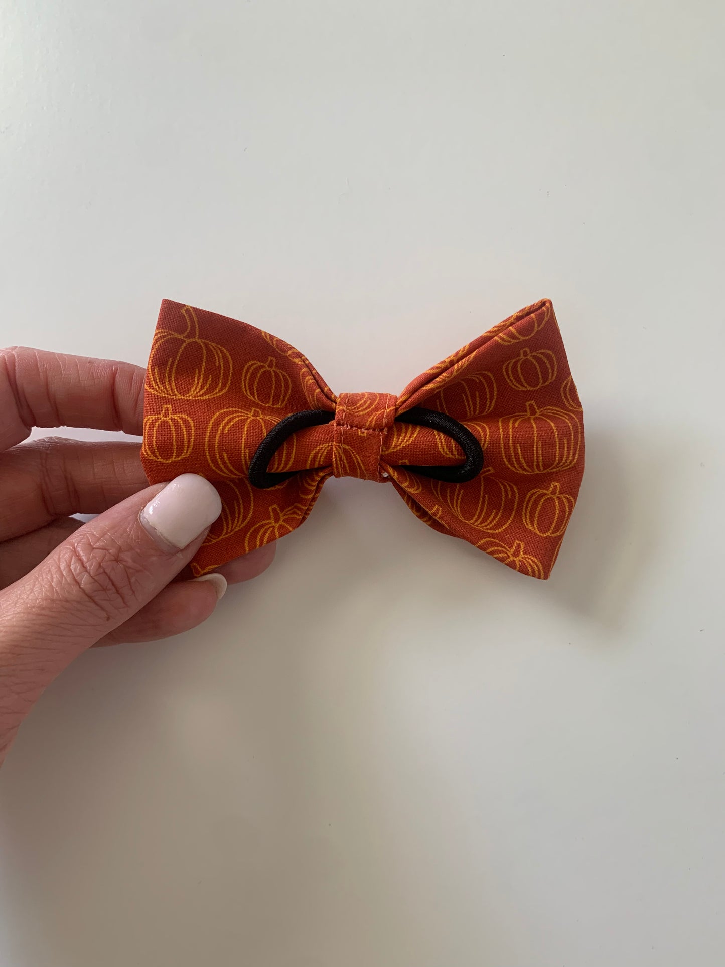 Pumpkin Patch - Pet Bow Tie