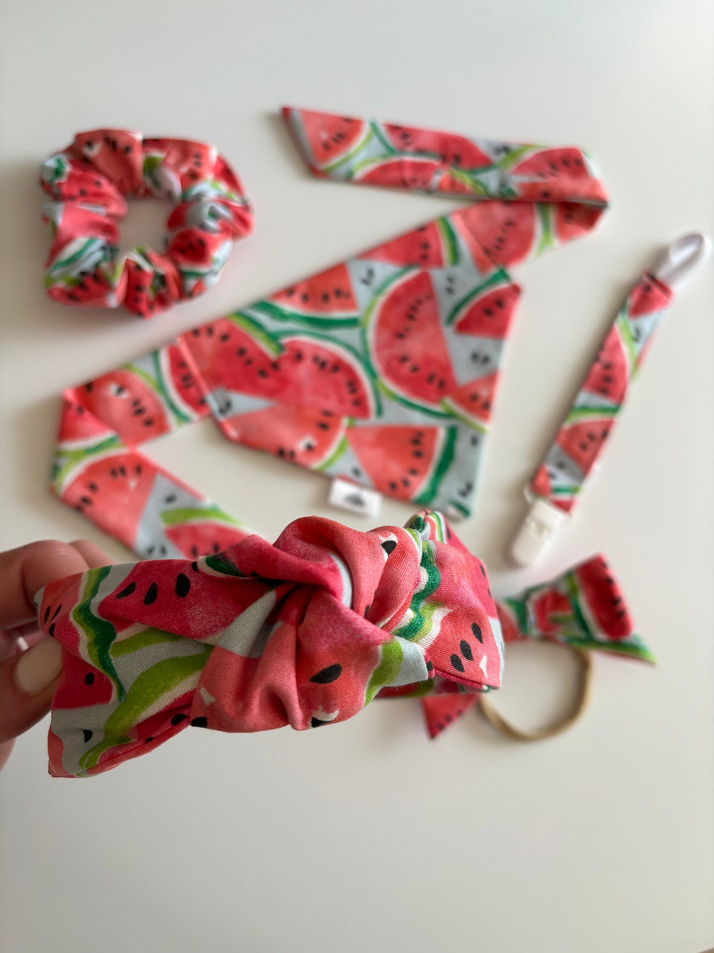 Watermelons on Baby Blue  - Paci Clip