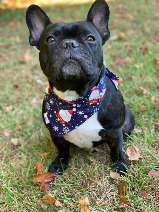 Sparkly Santas on Blue - Pet Bandana