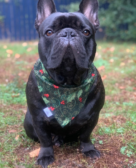 Sparkly Holly - Pet Bandana