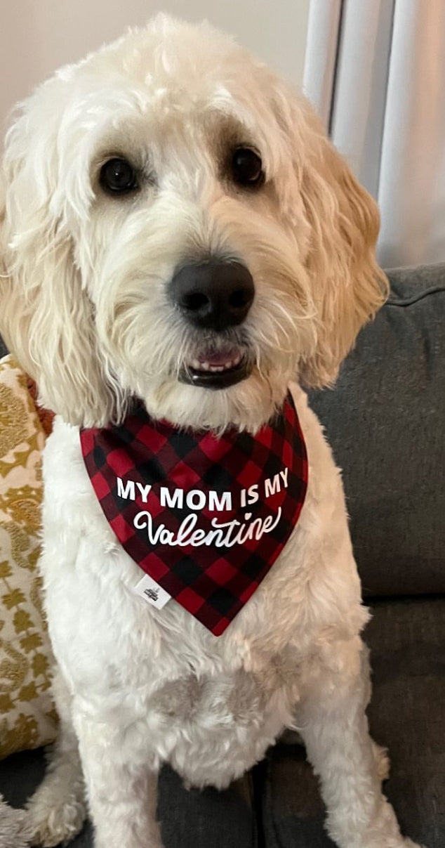 My Mom Is My Valentine - Pet Bandana