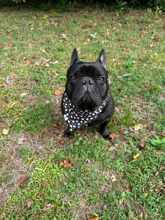 Pumpkins and Ghosts - Pet Bandana