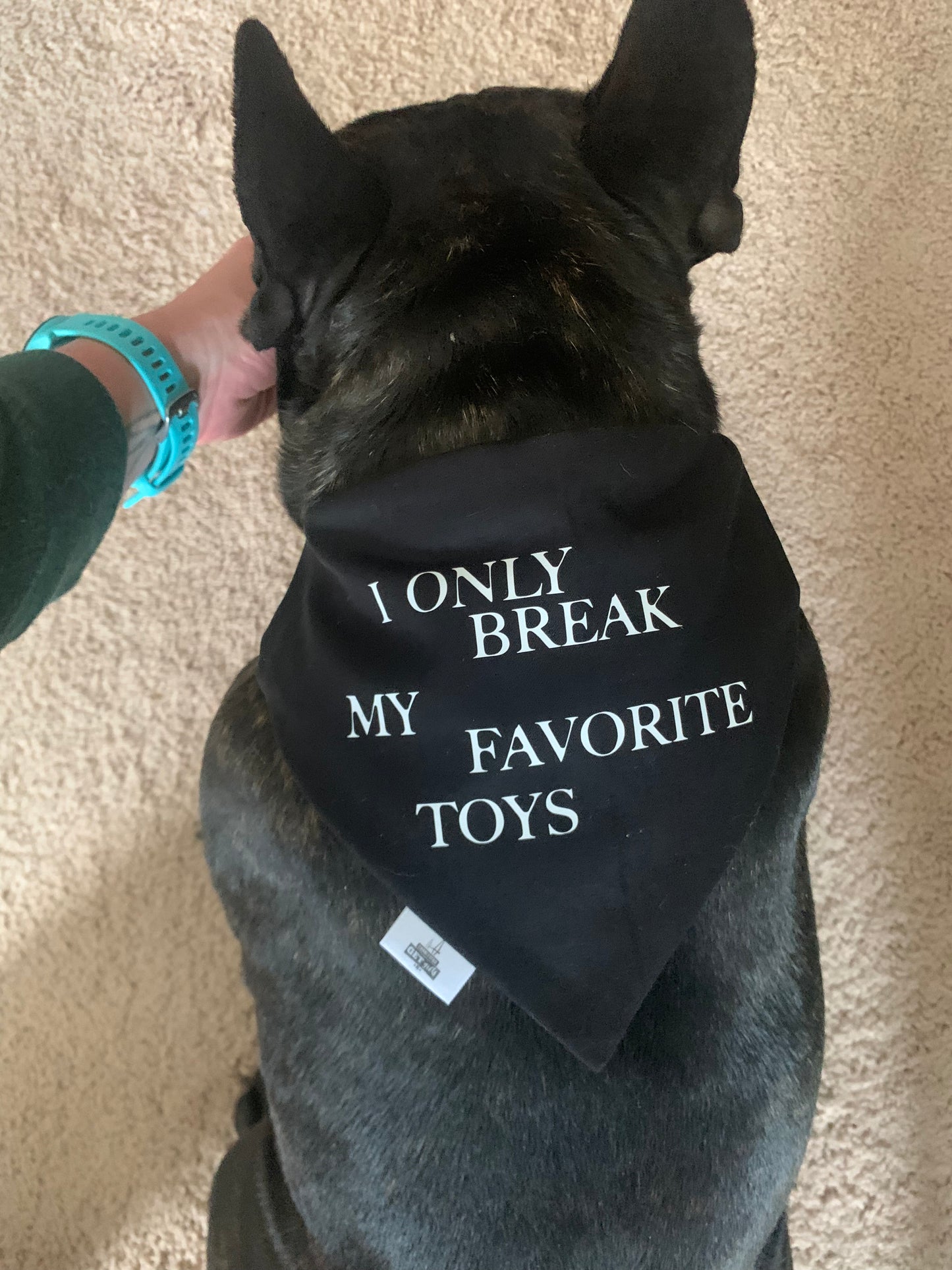 My Favorite Toys - Pet Bandana