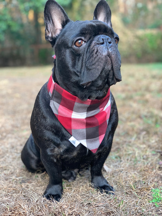 Red, Black, and White Check - Pet Bandana