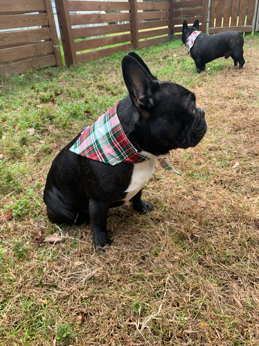 Holiday Plaid - Pet Bandana