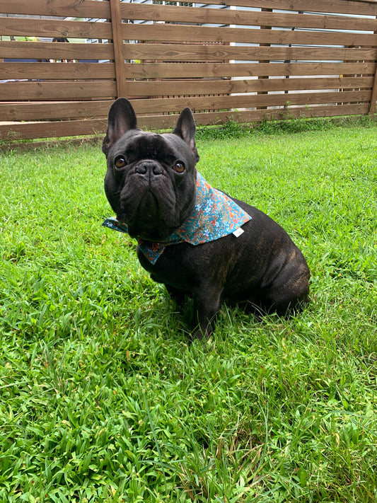 Autumn Floral - Pet Bandana