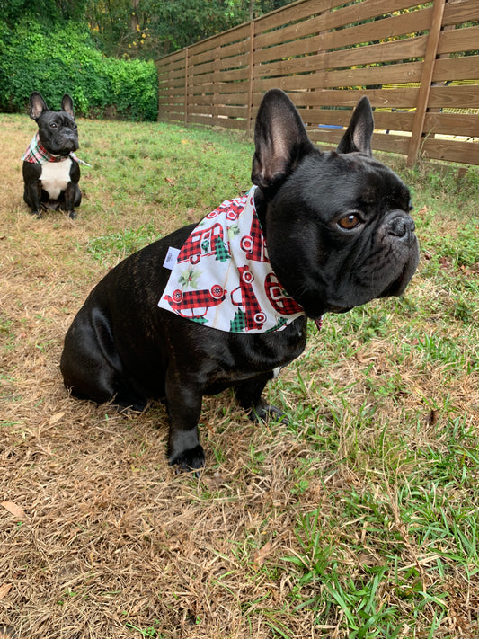 Buffalo Trucks on Cream - Pet Bandana