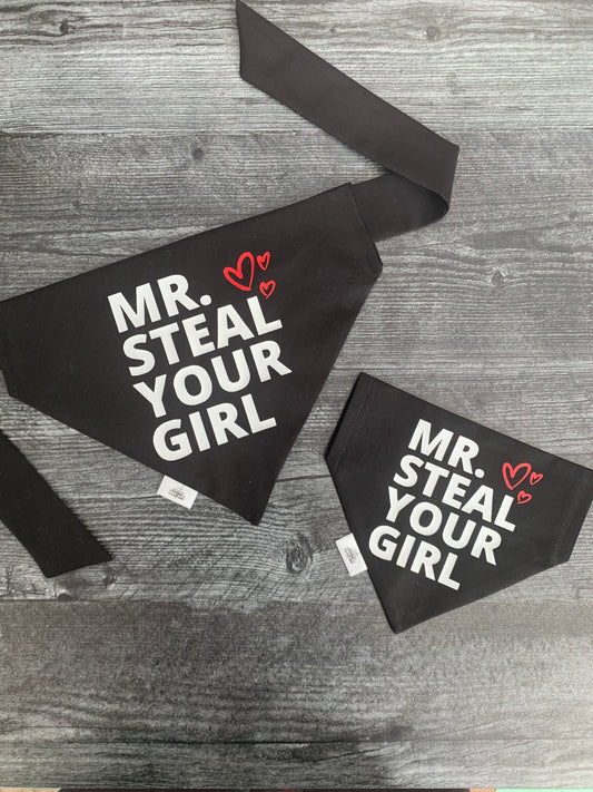 Mr. Steal Your Girl - Pet Bandana